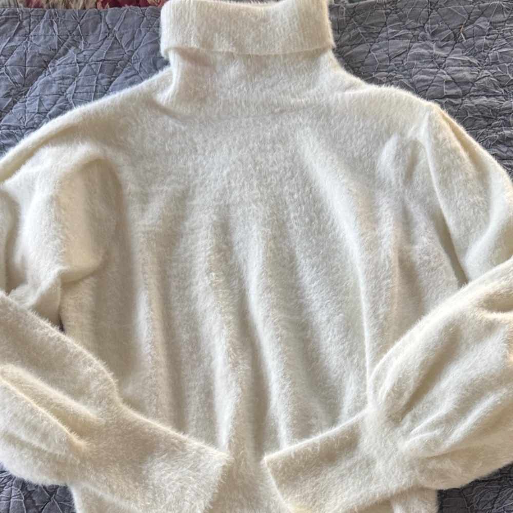 Societe Anonyme Soft Cream Turtleneck Sweater